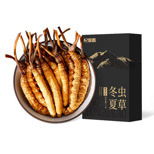 【冬季滋补】【杞里香冬虫夏草1克】1克4条/5条干货无断草 当年新草 洁净度高 干度足 商品图0