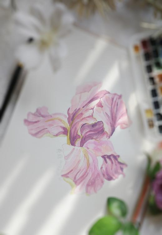 法绣系统课中阶（第2阶段）课程（已结束） 商品图3