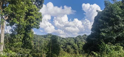 【2024西双版纳研学营】热带雨林科学探险之旅 商品图0