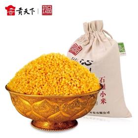 贡天下沁州黄2.5kg石墨小米无纺布袋包装