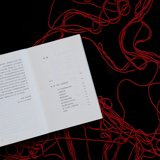 线的文化史 商品图6