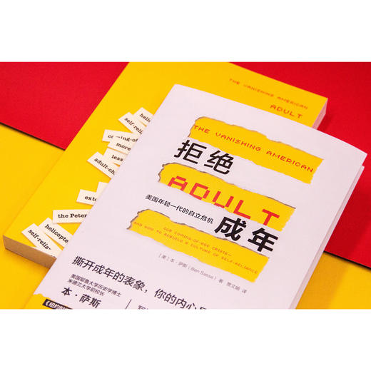 拒绝成年：美国年轻一代的自立危机 商品图1