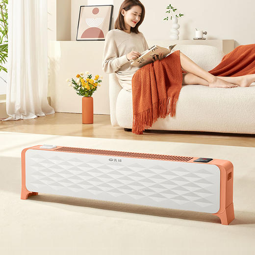 先锋 石墨烯踢脚线 DTJ-ZB1R-IOT 商品图0