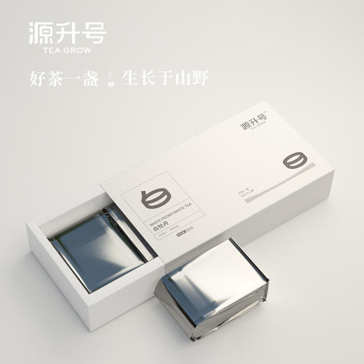 源升号—白牡丹 商品图3