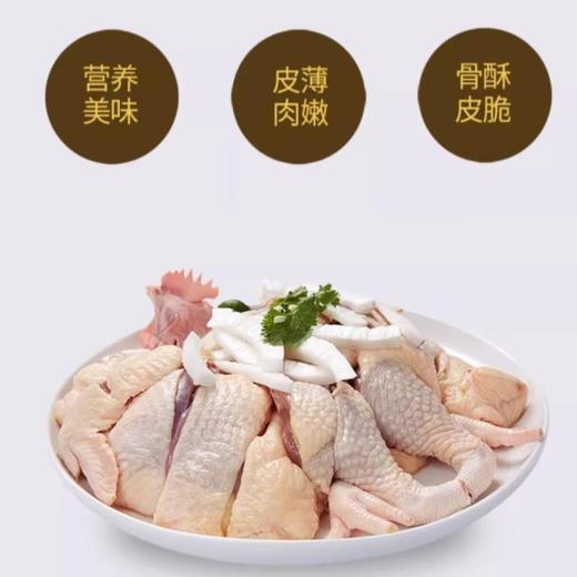 农家土鸡（约3斤）超重补差价 /只 商品图1