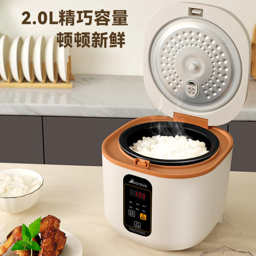 艾贝丽 智能电饭煲 ABL-FBZ23 商品图2
