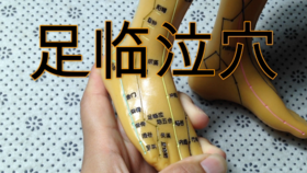  调理妇科与腰痛的秘密通道 