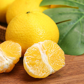 【邂逅桔&柚】梅州甜桔柚 鲜嫩多汁  5斤/9斤大果彩箱装