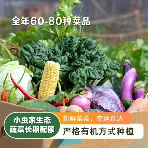生态蔬菜包体验配额 | 合作农友生产，产自陕西咸阳，生产者：郑力行 *【公平贸易农人定价】 | 全过程有机标准种植，全年60-80种菜品，顺丰空运，每次自选3-10种蔬菜 商品图1