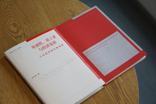 外部性、重工业与经济发展：计划经济时代再考察 商品图3