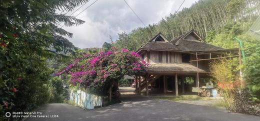 【2024西双版纳研学营】热带雨林科学探险之旅 商品图1