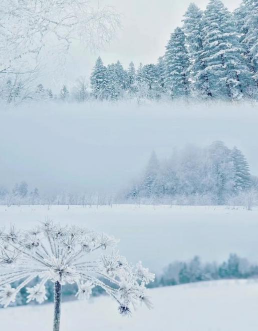 元旦长白山 | 3日沈阳火车往返 | 雪森林奇遇 ·  登长白山看天池 · 火山岩石板烤肉 · 魔界雾凇漂流 商品图2