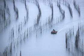 冬至丨一年中抵抗力最低的时候，几个小技巧守护家人健康