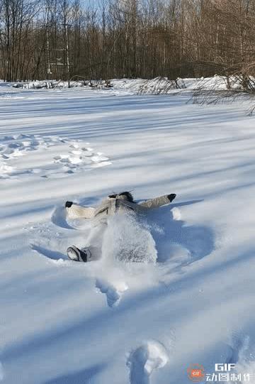 元旦长白山 | 3日沈阳火车往返 | 雪森林奇遇 ·  登长白山看天池 · 火山岩石板烤肉 · 魔界雾凇漂流 商品图0