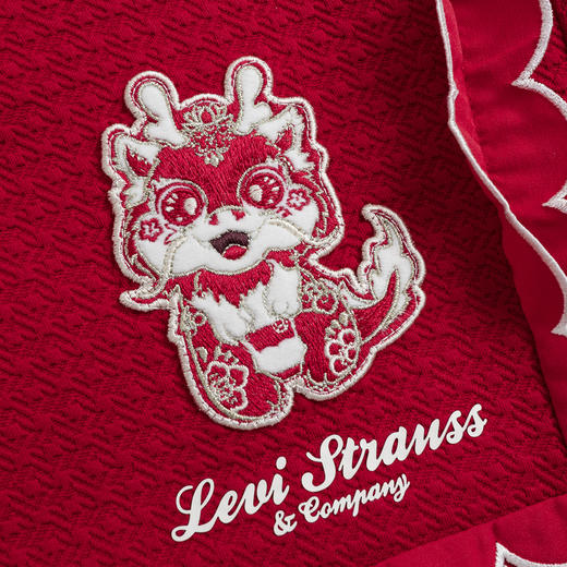 LEVIS 春 大童小童 儿童童装卫衣 LVG-FW-K429 商品图3