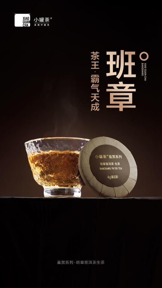 小罐茶鉴赏系列普洱茶组合茶-生普+熟普邹炳良邹老监制 商品图14