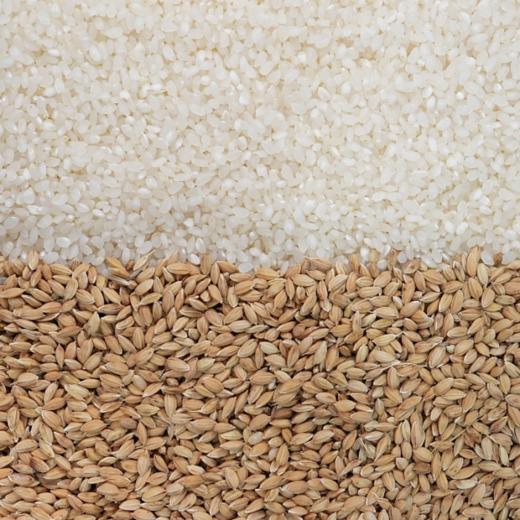 昆味到--南梗46生态大米 商品图2