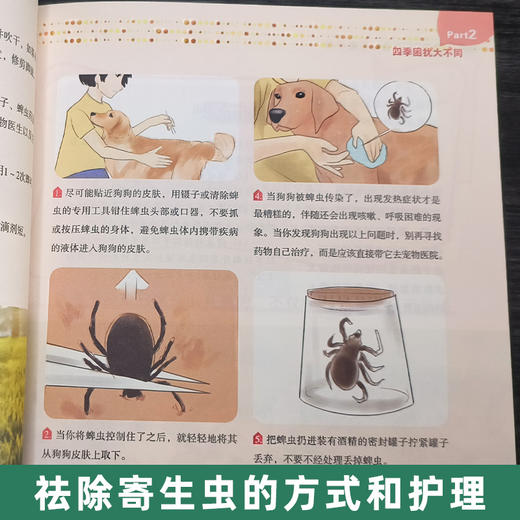 宠物狗常见问题家庭处置及护理 【官方正版，可开发票，下单时留开票信息和电子邮箱】 商品图4