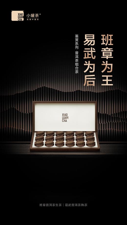 小罐茶鉴赏系列普洱茶组合茶-生普+熟普邹炳良邹老监制 商品图8