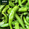 연변매운고추/연변꽈리고추  延边特辣/微辣 辣椒500g 商品缩略图0
