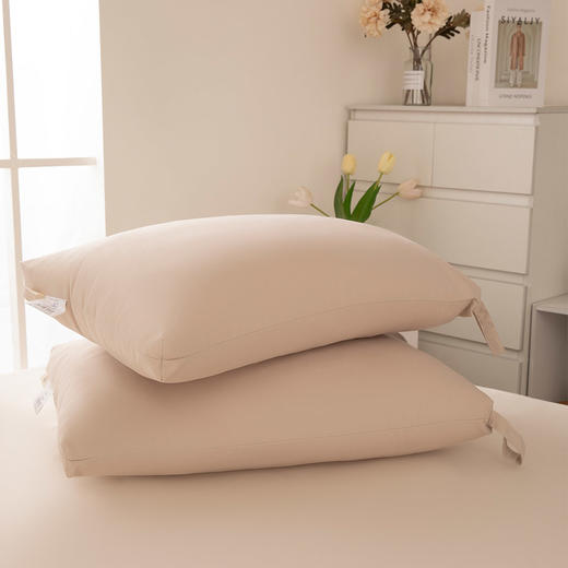 【远梦】可水洗休闲枕 商品图0