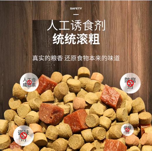 蓝舌石龙子成年粮 幼年粮 LIFELINE命脉 商品图8