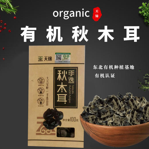 包邮有机秋木耳100g菌菇干货蘑菇 商品图0
