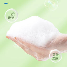 SukGarden蔬果园茶香泡泡洗手液 -500ml