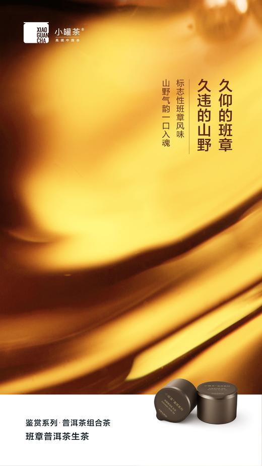 小罐茶鉴赏系列普洱茶组合茶-生普+熟普邹炳良邹老监制 商品图6