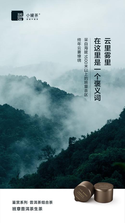 小罐茶鉴赏系列普洱茶组合茶-生普+熟普邹炳良邹老监制 商品图4