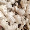 有机原土生姜  2斤/5斤 商品缩略图9