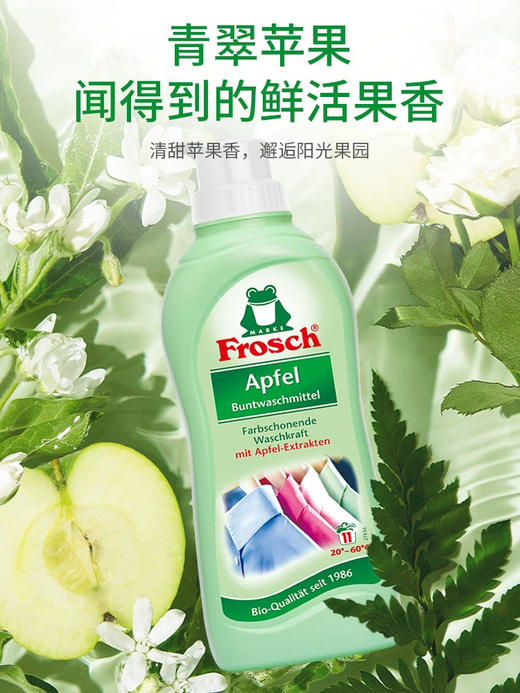 Frosch/福纳丝 彩色衣物固色洗衣液防串色染色护色750ML  2024年5月28日 商品图1