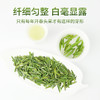 2026新茶 雀舌头春头采绿茶明前春茶四川精品特级嫩芽贡芽200g 商品缩略图2