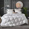 皇爵羽绒被芯全棉90白鹅绒被子加厚单双人春秋冬被空调被 商品缩略图0