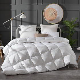 皇爵羽绒被芯全棉90白鹅绒被子加厚单双人春秋冬被空调被