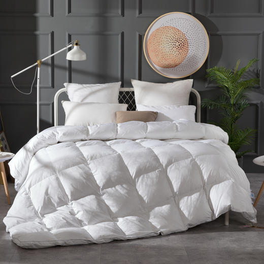 皇爵羽绒被芯全棉90白鹅绒被子加厚单双人春秋冬被空调被 商品图0