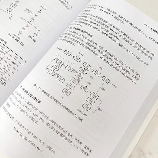 固体废物处理与资源化技术进展丛书--危险废物处理处置技术及应用 商品图8