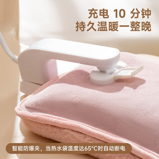 【2件立减20】天虹国标电热暖手宝简约纯色毛绒电热水袋水电分离防爆暖手宝 商品图1