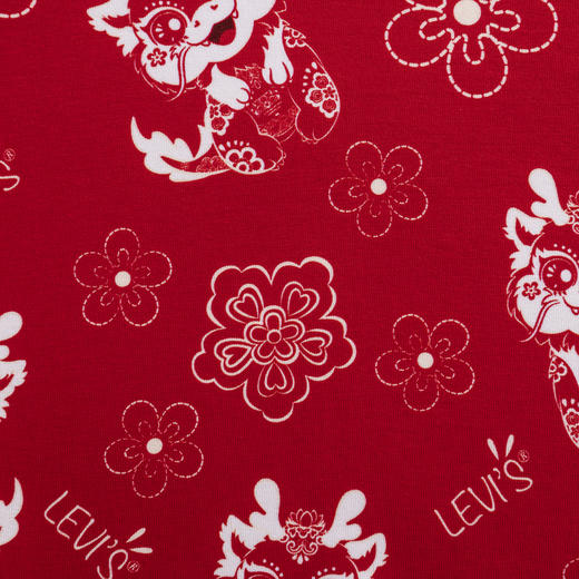 LEVIS 春 大童小童 儿童童装卫衣 LVG-PO-K431 商品图3
