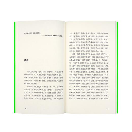 读库哲学系译丛：嫉妒 商品图1