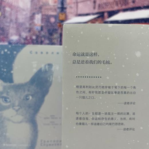 莫斯科小猫 商品图5