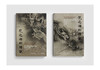 龙之国的传说：波士顿美术博物馆藏唐宋元书画 普装版（两卷本） 商品缩略图2