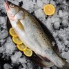 青鲈鱼 约1-1.2斤 超重需补差价 /条 /条 商品缩略图2