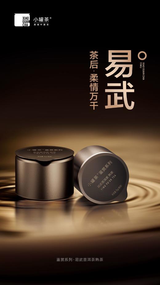 小罐茶鉴赏系列普洱茶组合茶-生普+熟普邹炳良邹老监制 商品图9