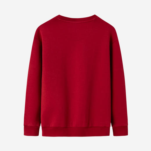 LEVIS 春 大童小童 儿童童装卫衣 LVB-FW-K562 商品图3