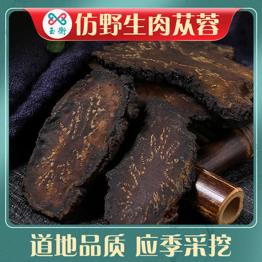 玉衡肉苁蓉 120g 罐装 内蒙古精选肉苁蓉 鲜干整根切片 泡茶泡酒煲汤 商品图2