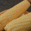 西双版纳白糯玉米 老品种玉米 轻食粗粮 口感软嫩清甜不失糯香 胞衣轻薄细腻 肉质饱满Q弹 基本没有渣 老少皆宜的健康粗粮 商品缩略图0