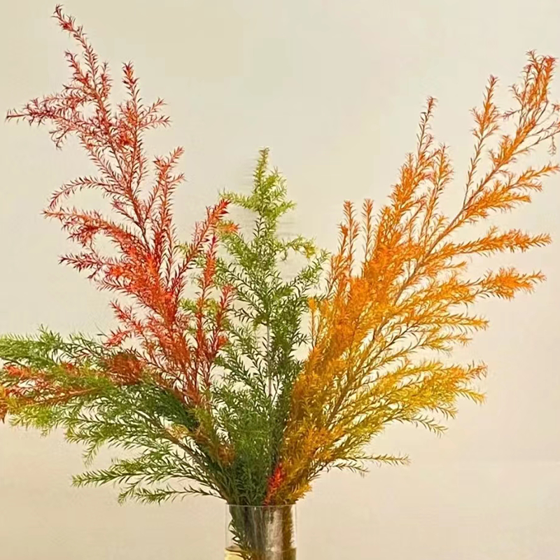 千层金   若干支/扎 颜色深浅略有差异 以实物为准 云南基地发货（价格已包含包装费用） 运费以实际为准，多退少补。