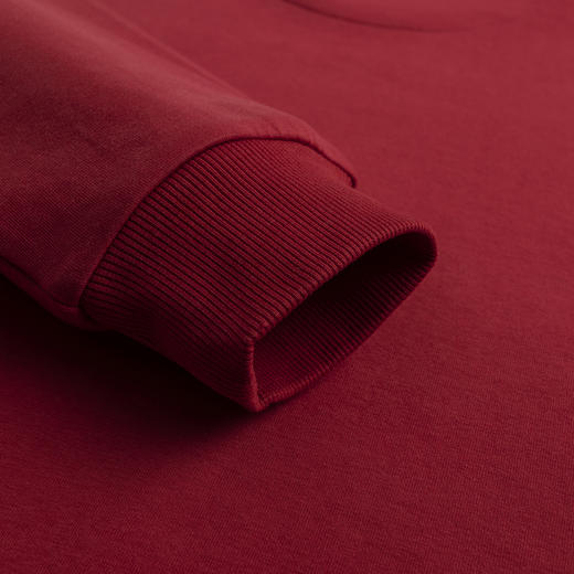 LEVIS 春 大童小童 儿童童装卫衣 LVB-FW-K562 商品图5