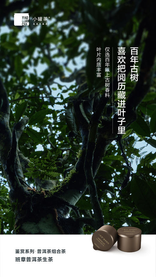 小罐茶鉴赏系列普洱茶组合茶-生普+熟普邹炳良邹老监制 商品图5